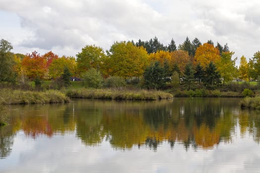 Reflection of Fall Trees by the Pond in Autumn