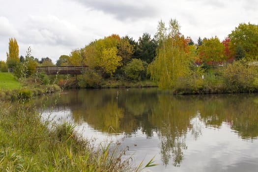 Wood Bridge Over Lake at the Parks in Fall Season