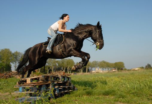 training for competition of jumping for an horse and her riding girl