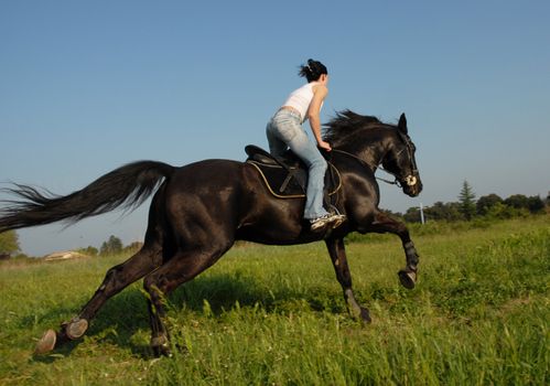 young woman and her black stallion in a field