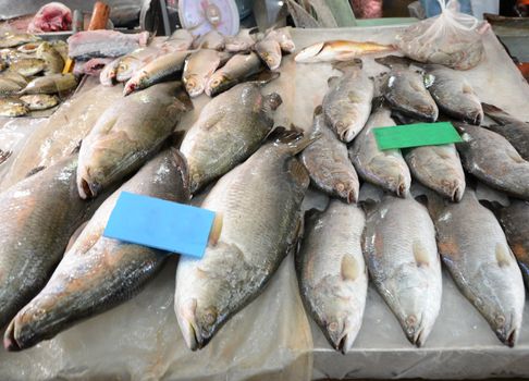 Variety of fresh fish seafood in market, thailand