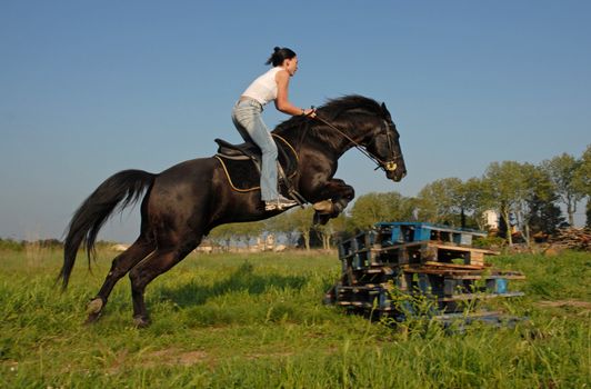 training for competition of jumping for an horse and her riding girl