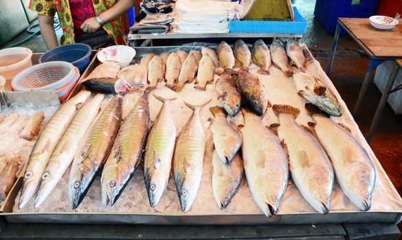 Variety of fresh fish seafood in market, thailand