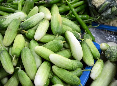 Fresh vegetables for sale in thailand local market, pile of cucumber 