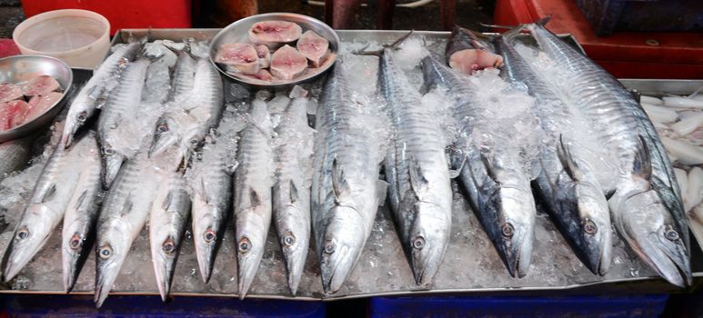 Variety of fresh fish seafood in market, chonburi, thailand