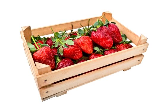 fresh strawberries in an open crate isolated over white