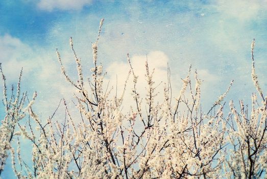 Grunge cloud background, vintage paper texture