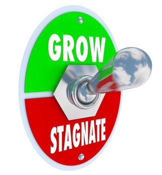 A metal toggle switch with the lever lifted up into Grow position as opposed to down into Stagnate, meaning the choice is yours to change and innovate or fail to see changing needs and die