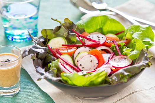 Fresh Vegetables salad with japanese sesame dressing