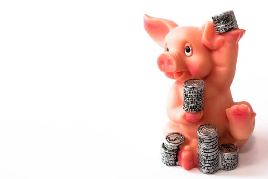 artificial piggy with coins and money on the white background