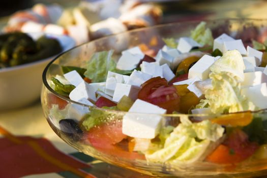 Vegetable salad with cheese and tomatoes