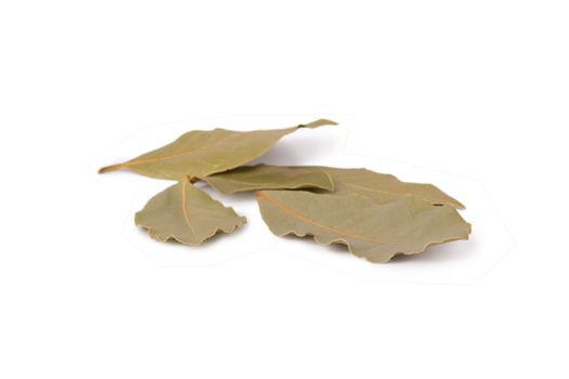 Dry bay leaves isolated on white background