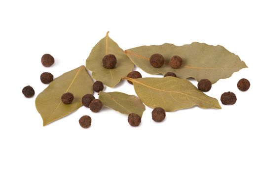 Black pepper and bay leaves isolated on white background