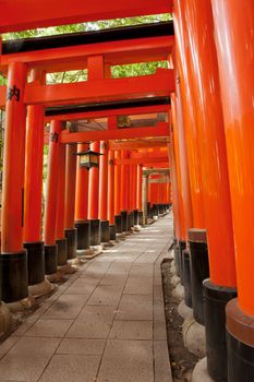 Famous shinto shrine of Fushimi Inari Taisha near Kyoto includes around 1300 orange torii gates, Japan