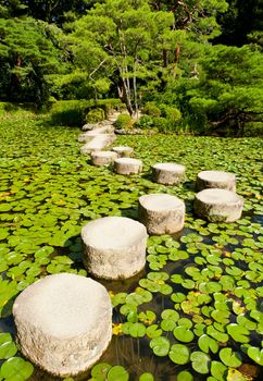 Zen stone path in a Japanese Garden near Heian Shrine.Stones are surrounded by lotus leaves