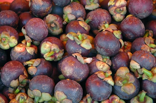 Mangosteen