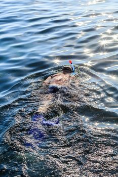 A man with a pipe, a mask and fins floating in the sea