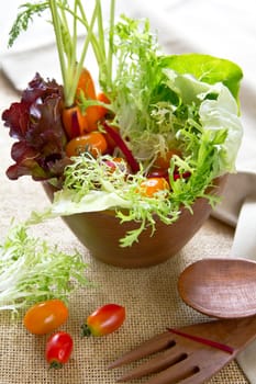 Fresh varieties of vegetables in wood salad bowl