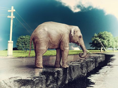 elephant on the cracked road  concept ( photo and hand-drawing elements combined). 