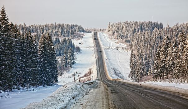 Frozen trees and snowy land road photo