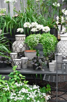 Beautiful arrangement of flowers, plants and black and white ceramics.