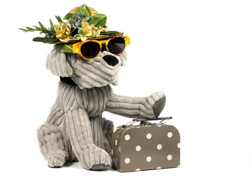 dog going to travel with sunglasses hat and suitcase