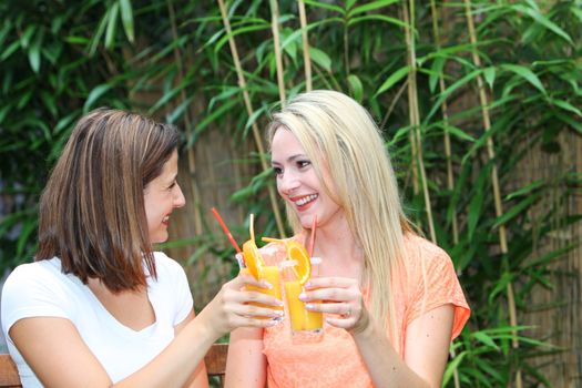 Friends on a tropical vacation clink glasses of freshly squeezed orange cocktail in a toast to their good fortune Friends on a tropical vacation clink glasses of freshly squeezed orange cocktails in a toast to their good fortune 