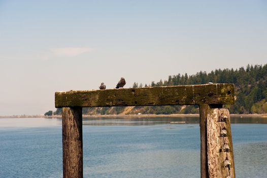 Kayak Point, WA