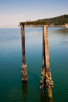 Kayak Point, WA