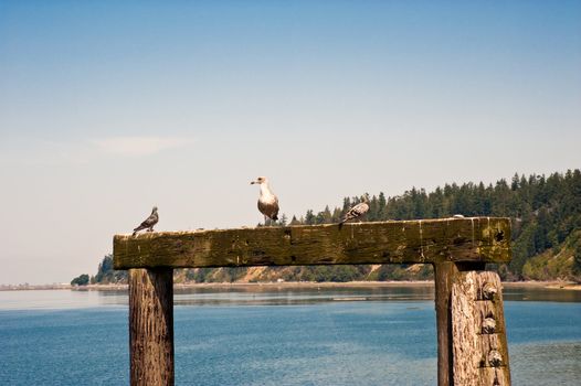 Kayak Point, WA