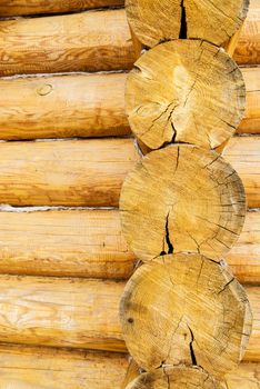 Round wooden logs surface of blockhouse wall