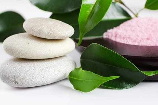 White zen stones, green leaves,  candle,  sea salt, white background.