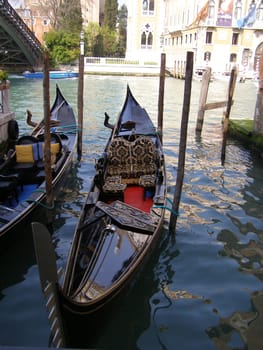 gondolas in Venice