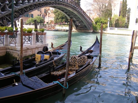 gondolas in Venice