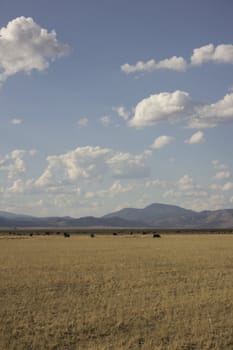 Large open field with clouds in the sky