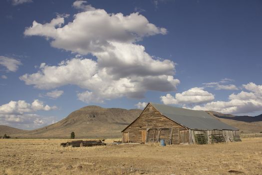 Old barn in a very large field - Loyalton California USA