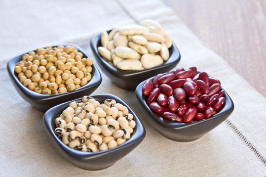 Variety of Beans in small bowl [kidney bean,soy bean,black eye bean,lima,]