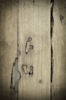 Old teak wood's flat panel