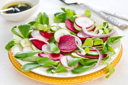 Beetroot,Radish and cucumber salad by Balsamic dressing