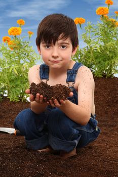 Attractive 7 year old french american boy in marigold garden with hand full of soil.