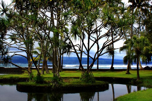 Richardson Ocean Park in Hilo, Hawaii 
