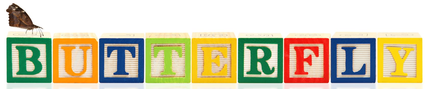 Colorful alphabet blocks. BUTTERFLY