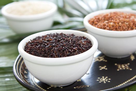 Varieties of raw black rice,jasmine rice and brown rice in white bowls