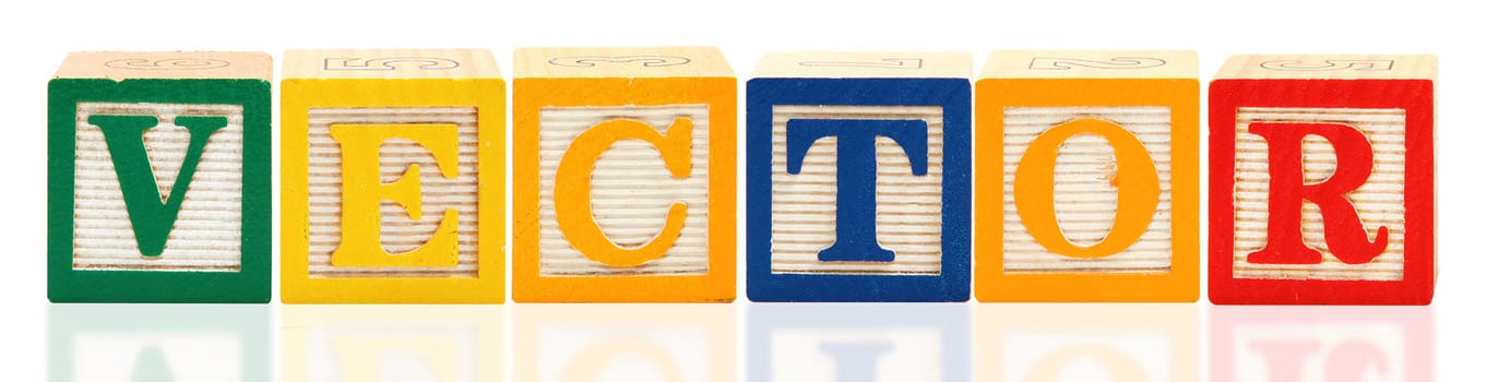 Colorful alphabet blocks. spelling the word vector.