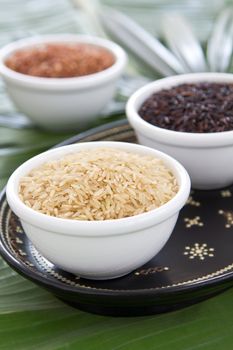 Varieties of raw black rice,jasmine rice and brown rice in white bowls