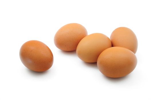 Eggs on white background