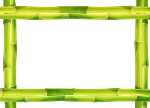 Bamboo frame made of stems