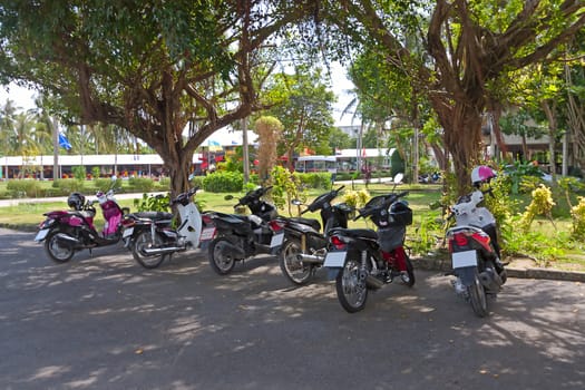 Different mopeds or scooters on  parking under  tree, Thailand.