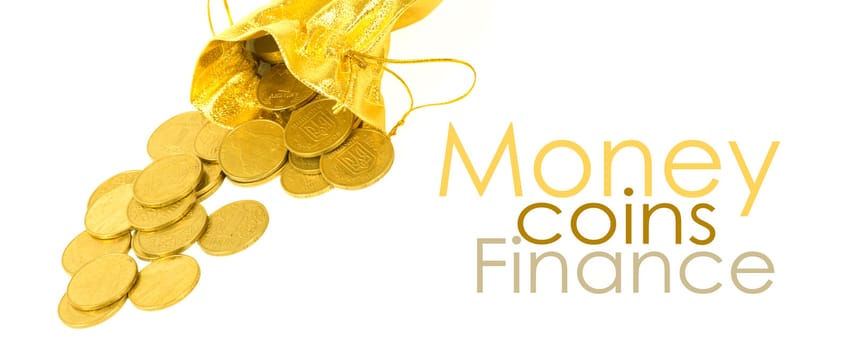 Money coins in golden bag isolated on white