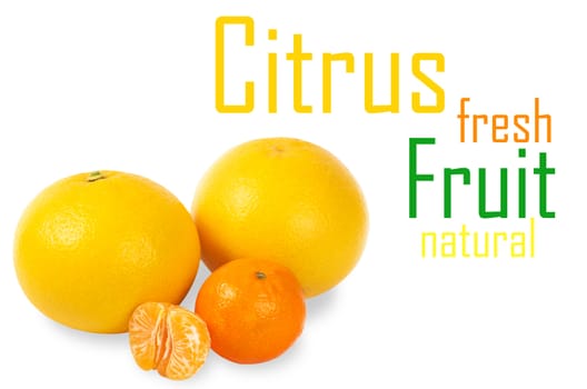 Citrus fruit on a white background